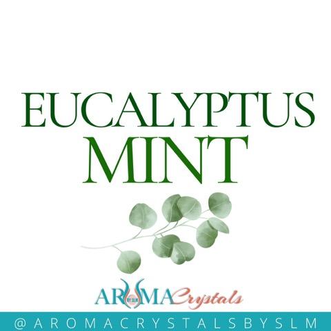 Eucalyptus Mint Aroma Crystals Set